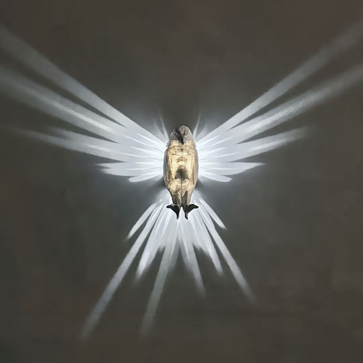 OwlGlow Geometric Wall Decoration Seasonal | Lighting | Led | plastic | Premium Lighting Solution