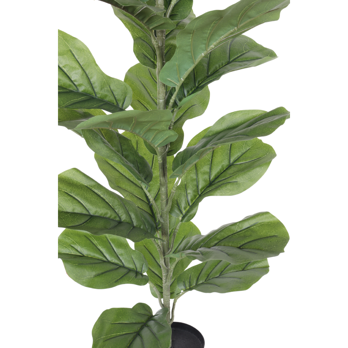 Artificial Ficus Plant 100cm Natural Eye-catcher | Decorative Item | iron | Elegant Home Decor