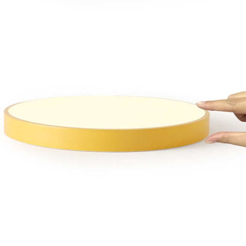 Elysia Modern Round Ceiling Lamp | Lighting | LED | metal | Premium Lighting Solution