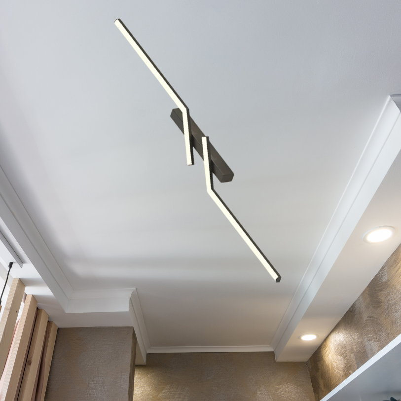 LumiSmart Ceiling Lamp with Remote | Lighting | LED | acrylic/metal | 24W | Premium Lighting Solution
