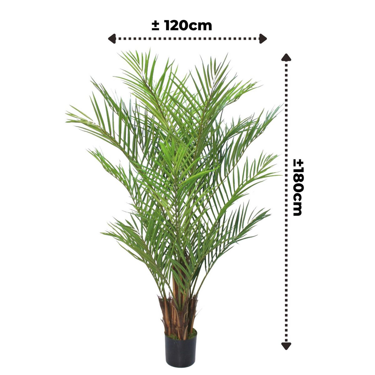 Artificial Palm 180cm Tropical Atmosphere Maintenance | Decorative Item | Elegant Home Decor