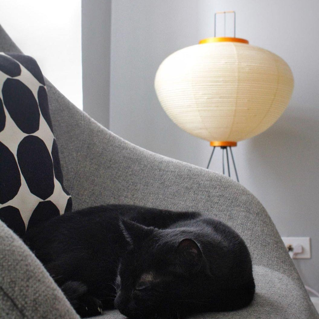 Rice paper floor lamp | Floor Lamp | LED | metal | 240v | Stylish Floor Lighting