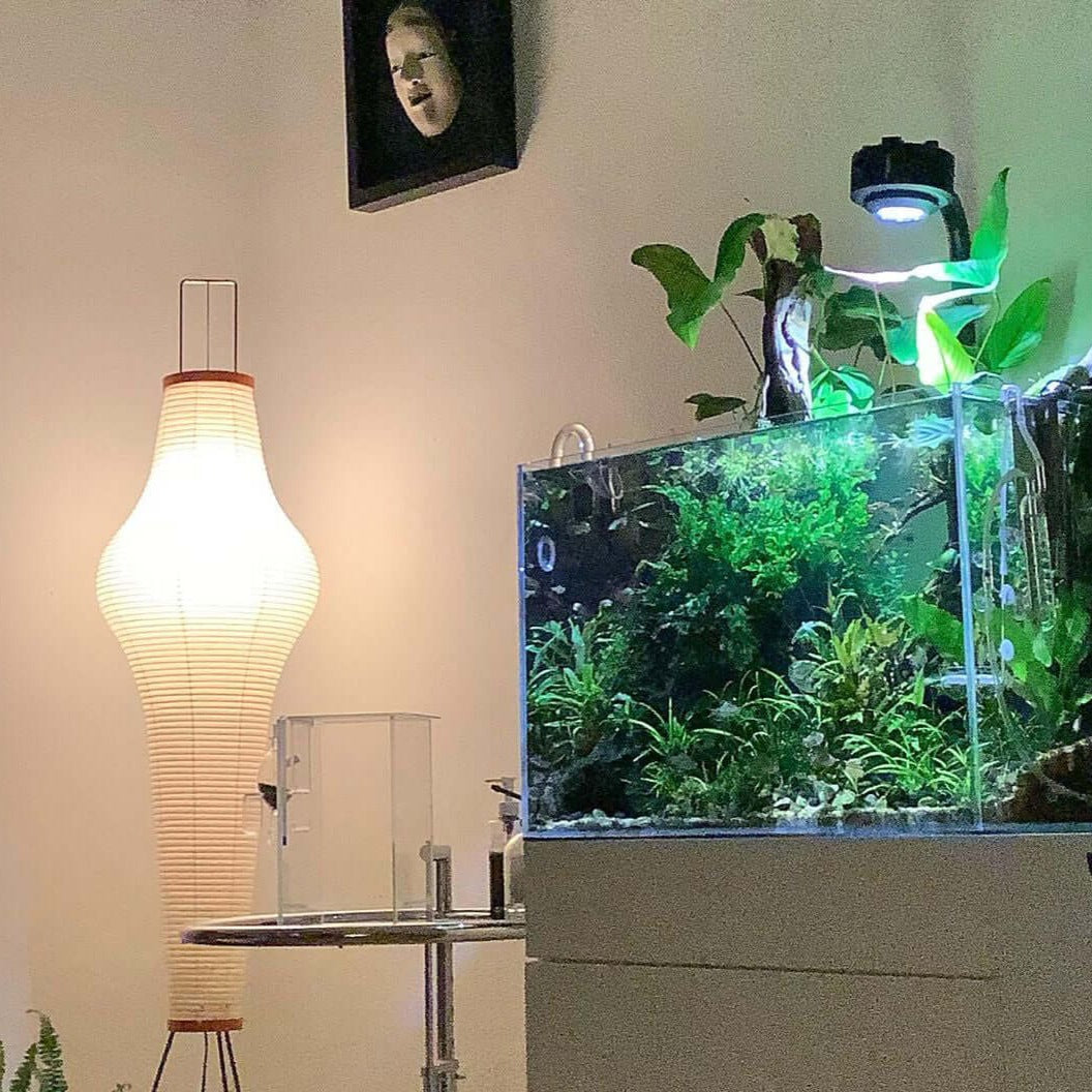 Rice paper floor lamp | Floor Lamp | LED | metal | 240v | Stylish Floor Lighting