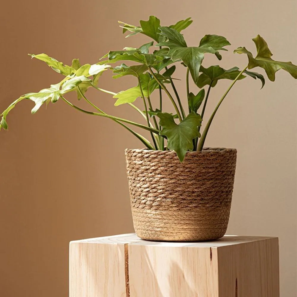 Straw Weaving Flower Plant Pot Wicker | Decorative Item | straw | Elegant Home Decor