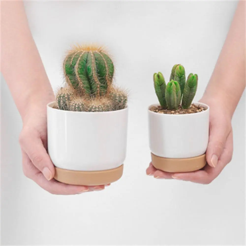 Self Watering Flowerpot Automatic Water Absorption | Decorative Item | Elegant Home Decor
