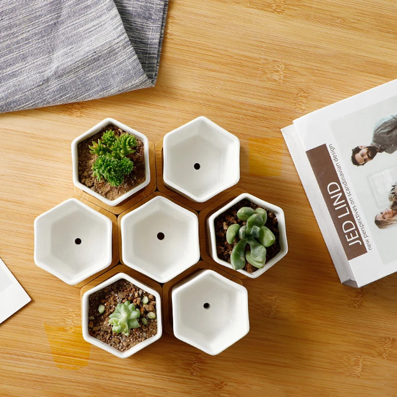 Ceramic Flowerpot White Hexagon Ceramic Pot | Decorative Tray | ceramic | Elegant Home Decor