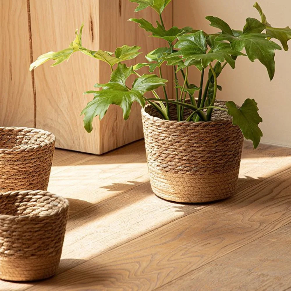 Straw Weaving Flower Plant Pot Wicker | Decorative Item | straw | Elegant Home Decor