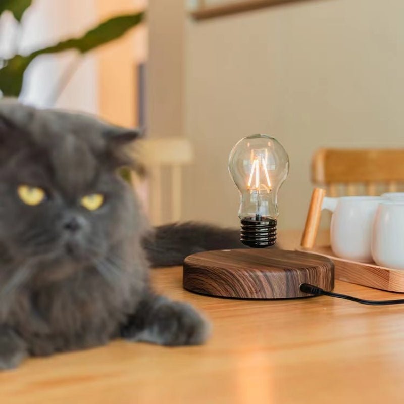LumiFloat Table Lamp Magical Floating | Table Lamp | LED | Walnut Wood/Glass | Sleek Table Accent