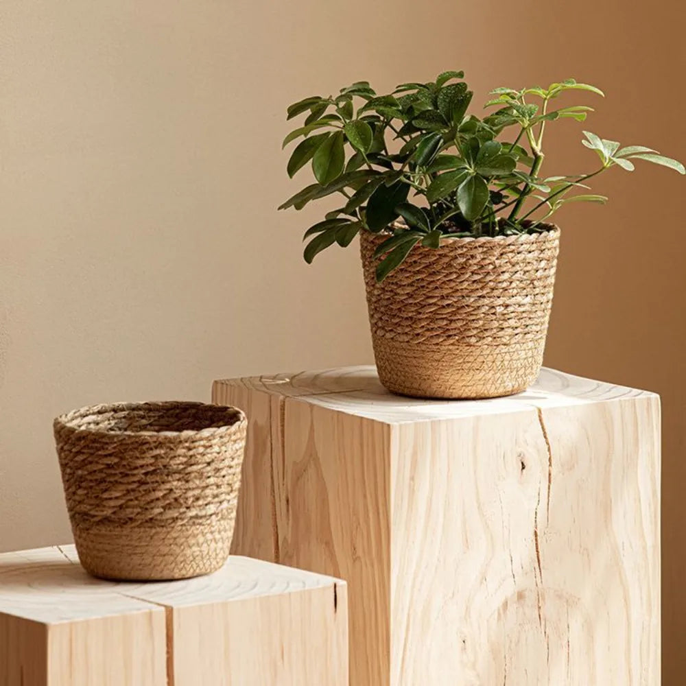 Straw Weaving Flower Plant Pot Wicker | Decorative Item | straw | Elegant Home Decor