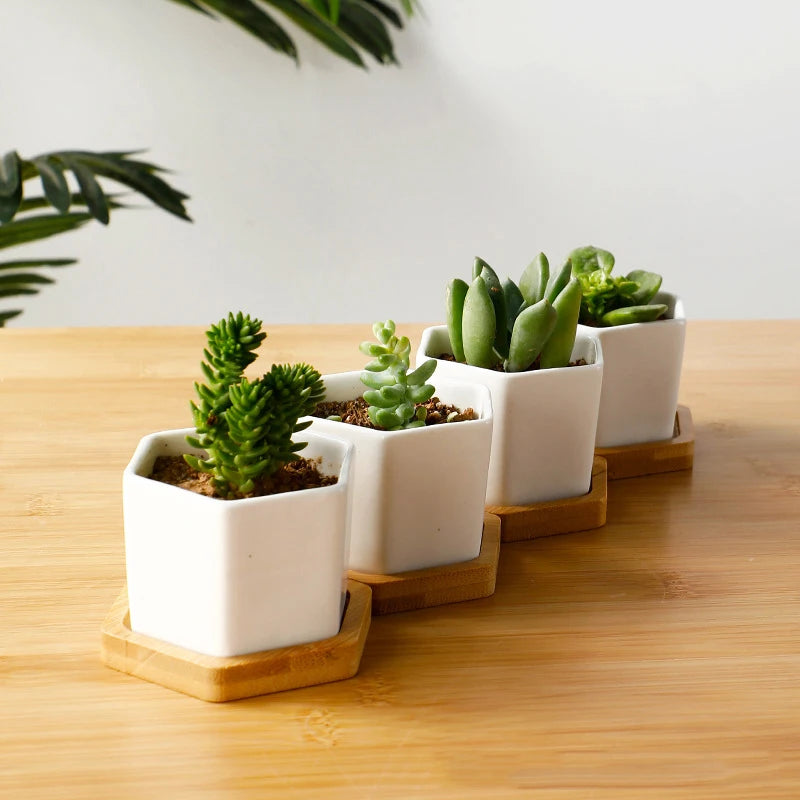 Ceramic Flowerpot White Hexagon Ceramic Pot | Decorative Tray | ceramic | Elegant Home Decor