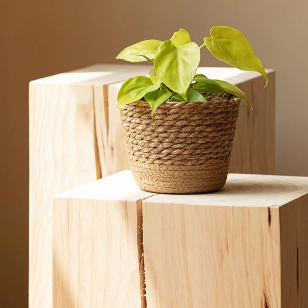 Straw Weaving Flower Plant Pot Wicker | Decorative Item | straw | Elegant Home Decor