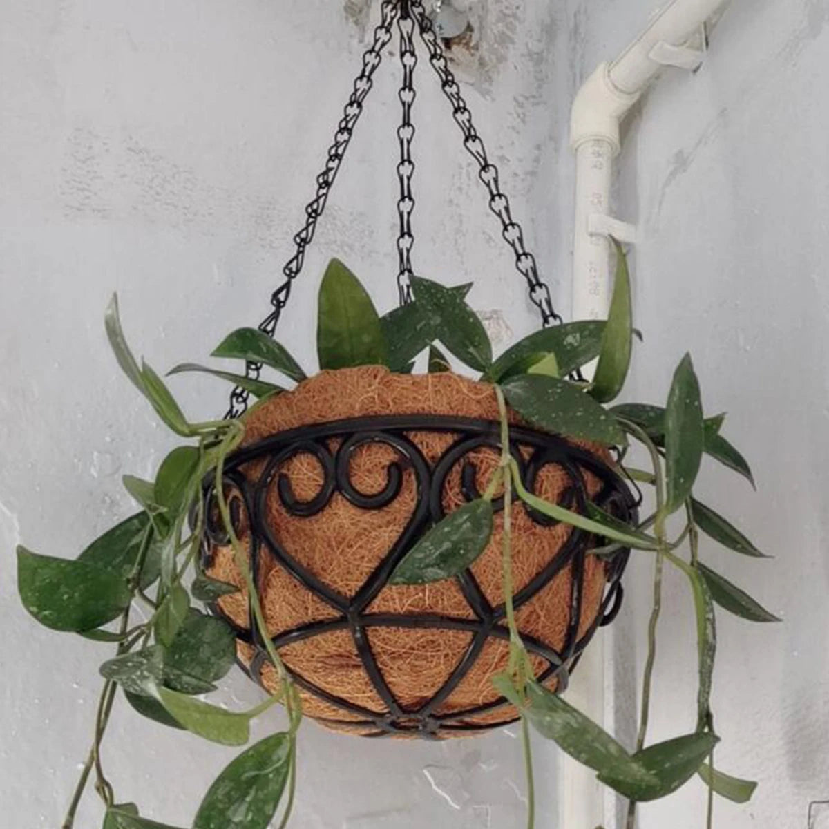 Coconut Brown Round Iron Chain Hanging | Decorative Item | iron | Elegant Home Decor