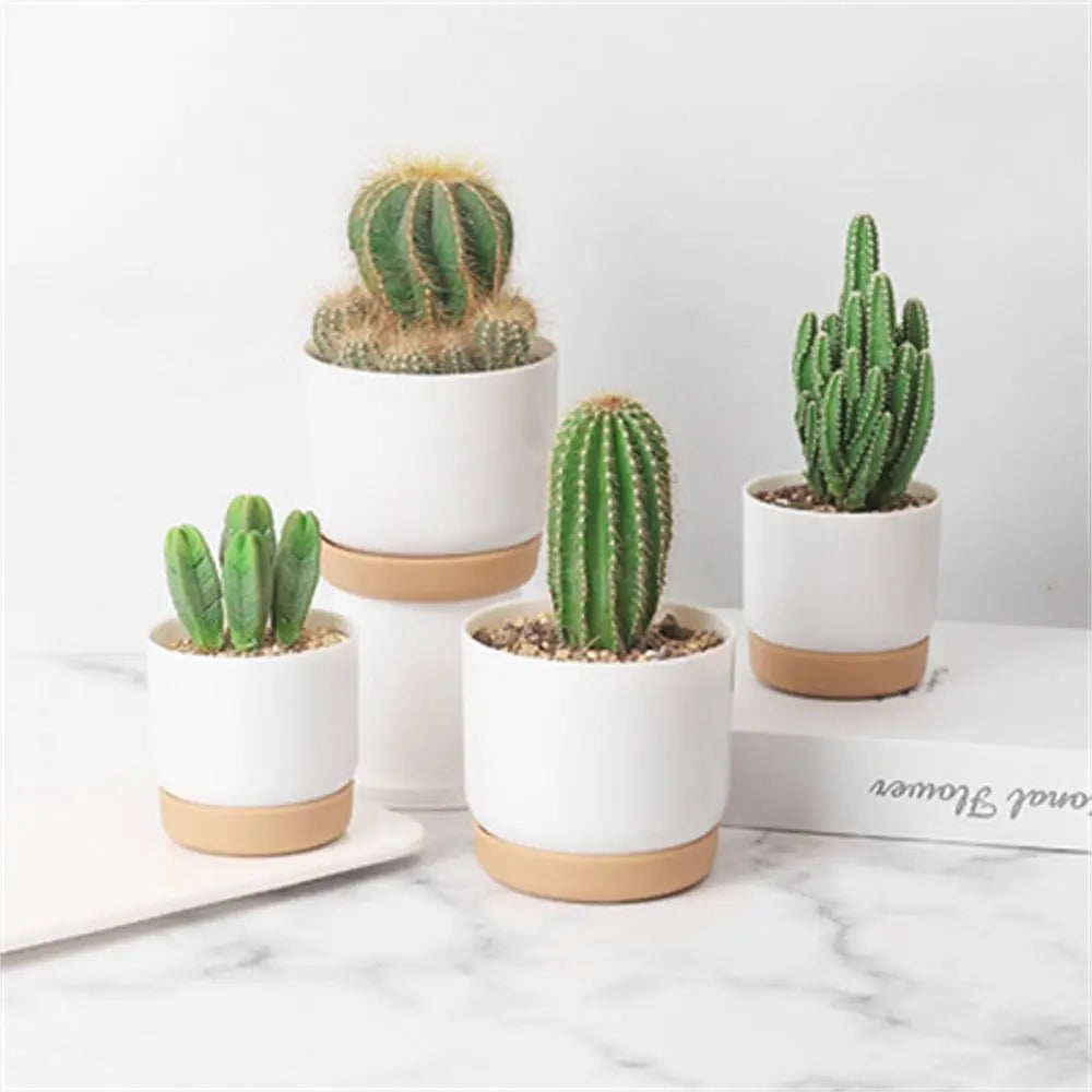 Self Watering Flowerpot Automatic Water Absorption | Decorative Item | Elegant Home Decor