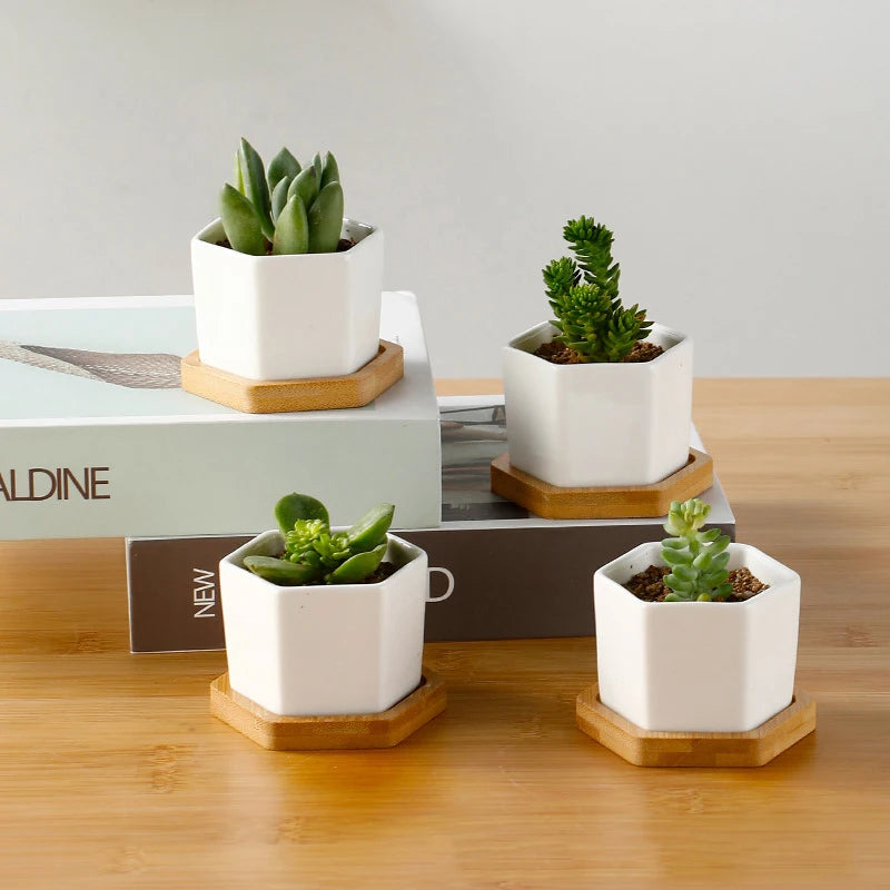 Ceramic Flowerpot White Hexagon Ceramic Pot | Decorative Tray | ceramic | Elegant Home Decor