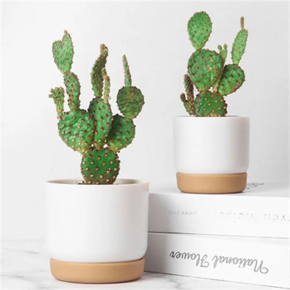 Self Watering Flowerpot Automatic Water Absorption | Decorative Item | Elegant Home Decor