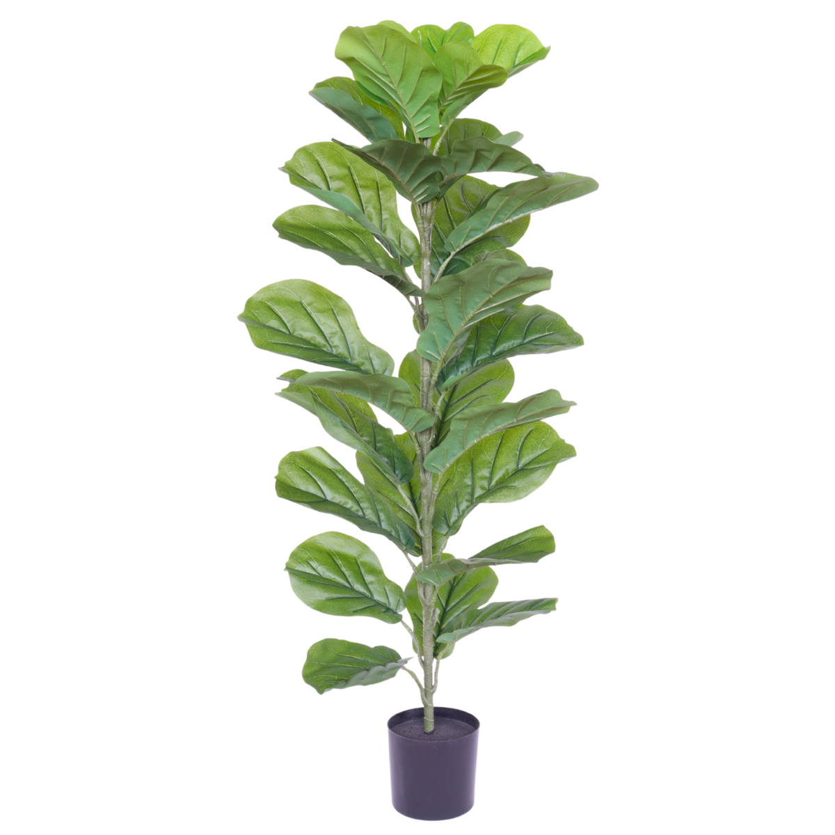 Artificial Ficus Plant 100cm Natural Eye-catcher | Decorative Item | iron | Elegant Home Decor
