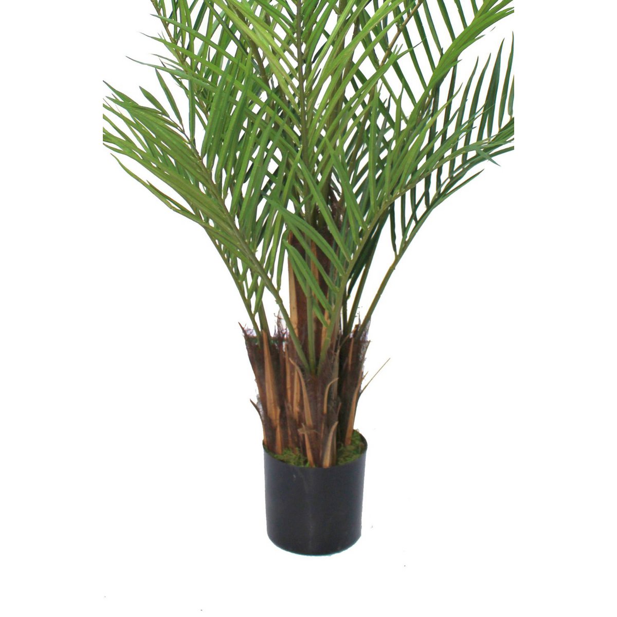 Artificial Palm 180cm Tropical Atmosphere Maintenance | Decorative Item | Elegant Home Decor