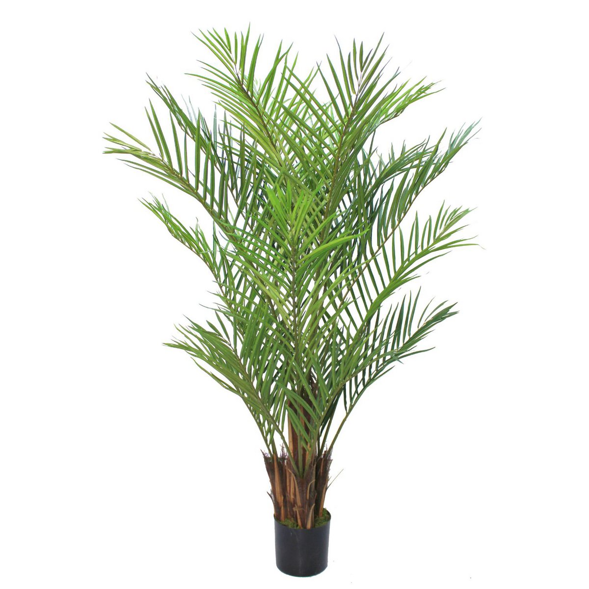 Artificial Palm 180cm Tropical Atmosphere Maintenance | Decorative Item | Elegant Home Decor