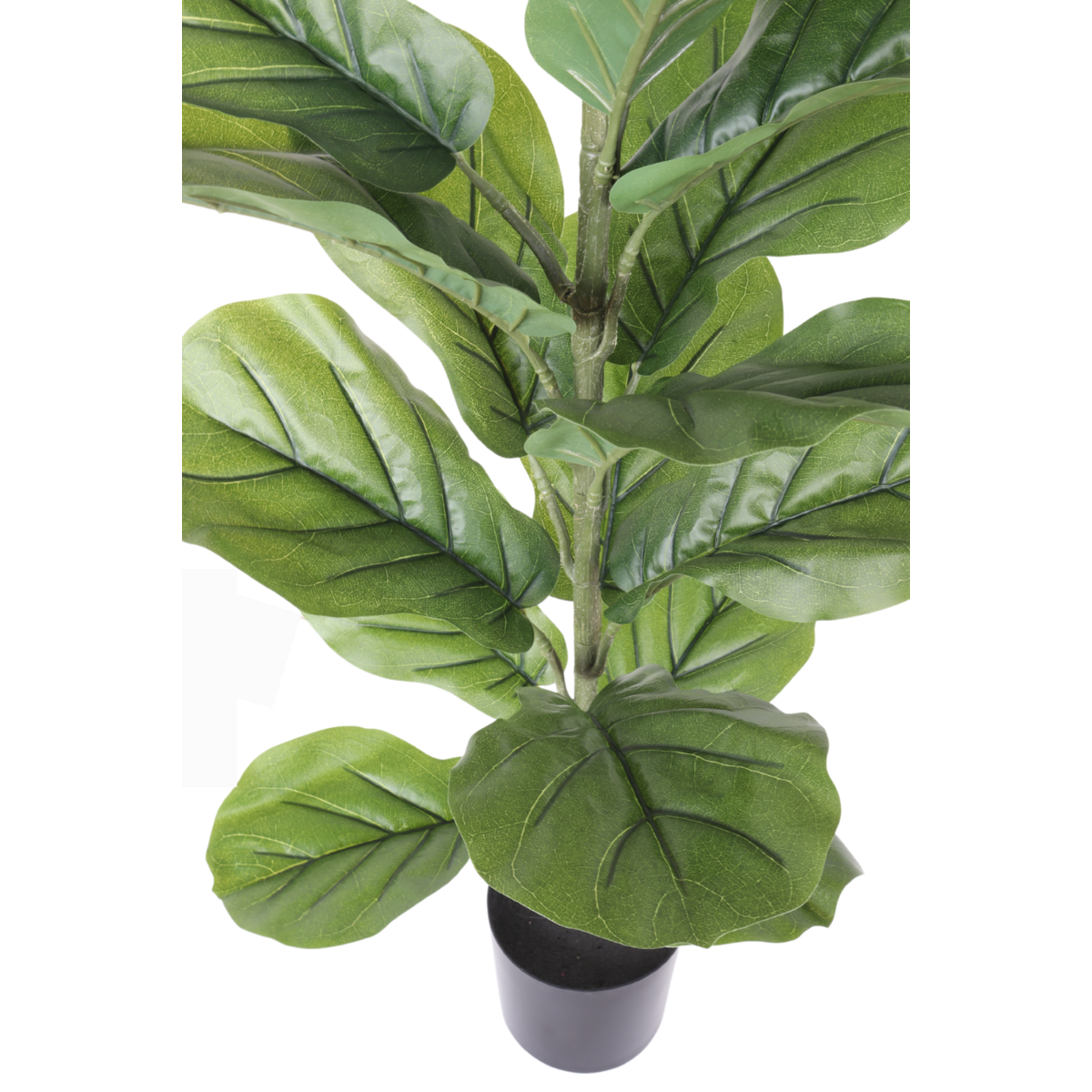 Artificial Ficus Plant 100cm Natural Eye-catcher | Decorative Item | iron | Elegant Home Decor