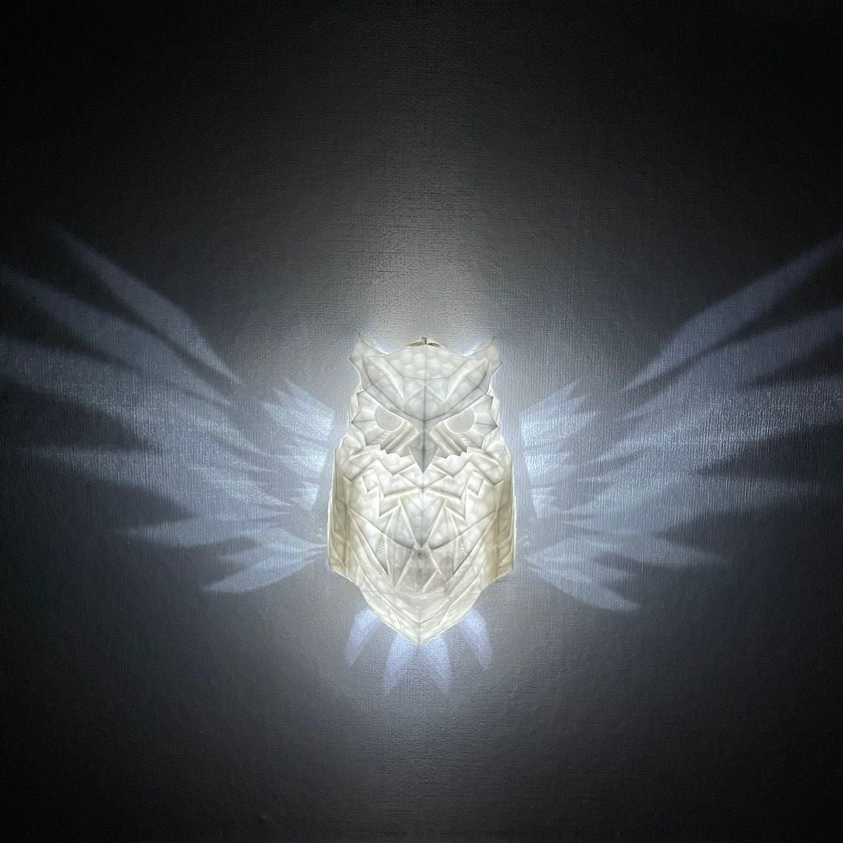 OwlGlow Geometric Wall Decoration Seasonal | Lighting | Led | plastic | Premium Lighting Solution