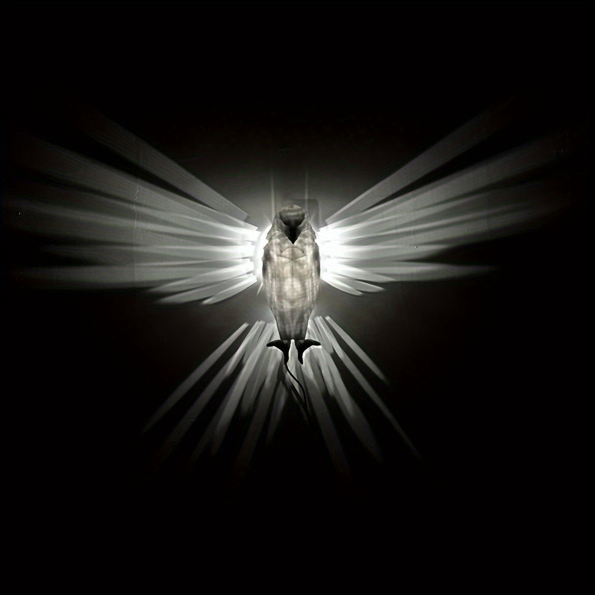 OwlGlow Geometric Wall Decoration Seasonal | Lighting | Led | plastic | Premium Lighting Solution