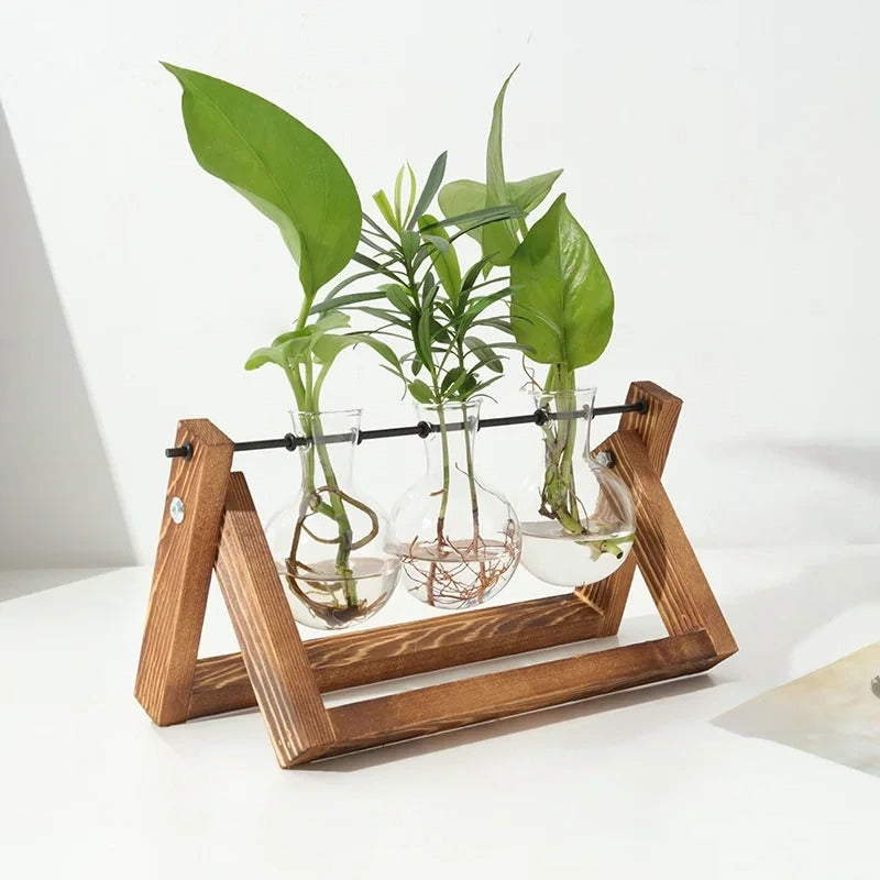 Wooden Frame Plant Holder Rustic Glass | Decorative Item | wood | Elegant Home Decor