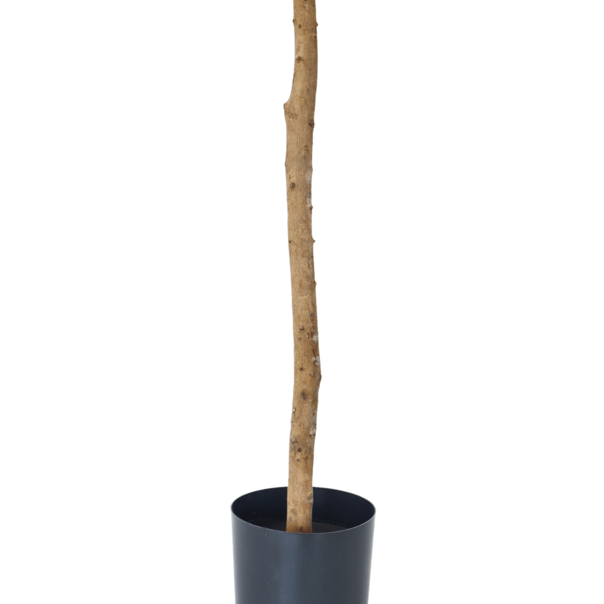 Artificial Olive Tree 130cm Timeless Elegance | Decorative Item | Elegant Home Decor