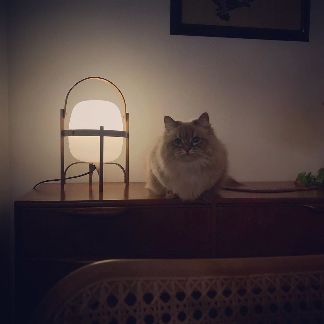 Portable Table Lamp Glass | Table Lamp | LED | Wood/glass | 110-240V | Sleek Table Accent