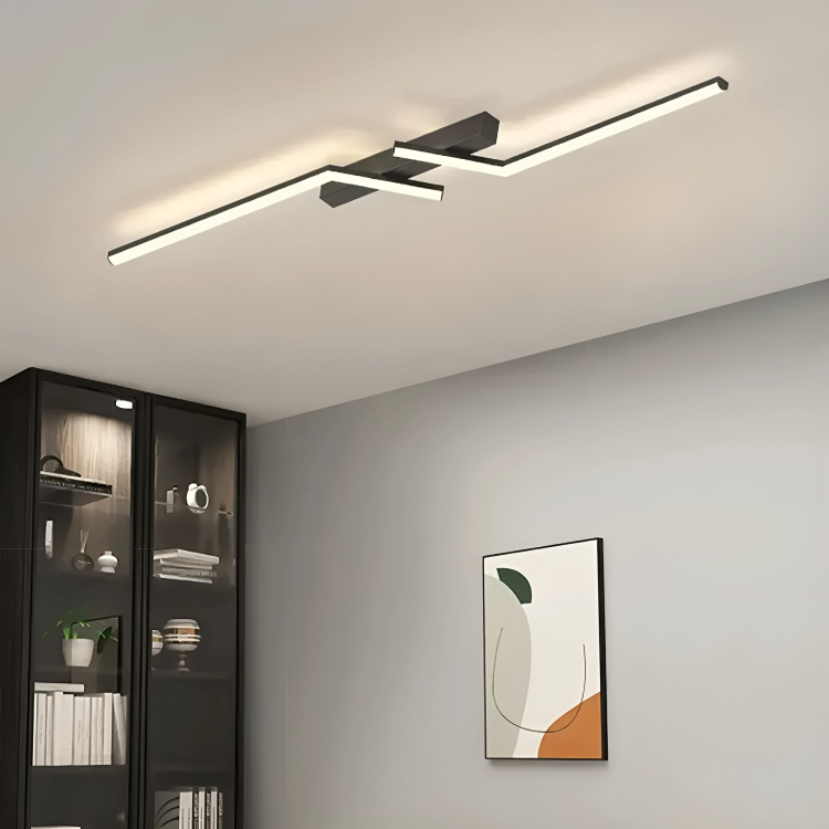LumiSmart Ceiling Lamp with Remote | Lighting | LED | acrylic/metal | 24W | Premium Lighting Solution