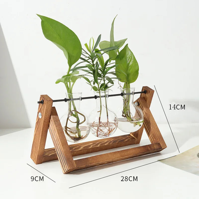 Wooden Frame Plant Holder Rustic Glass | Decorative Item | wood | Elegant Home Decor