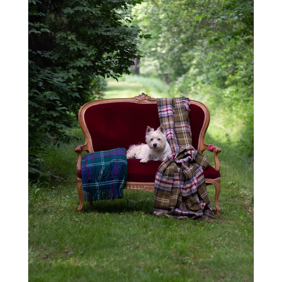 Torridon Hills Plaid Luxury Tartan Blanket | Decorative Item | New Zealand wool | Elegant Home Decor