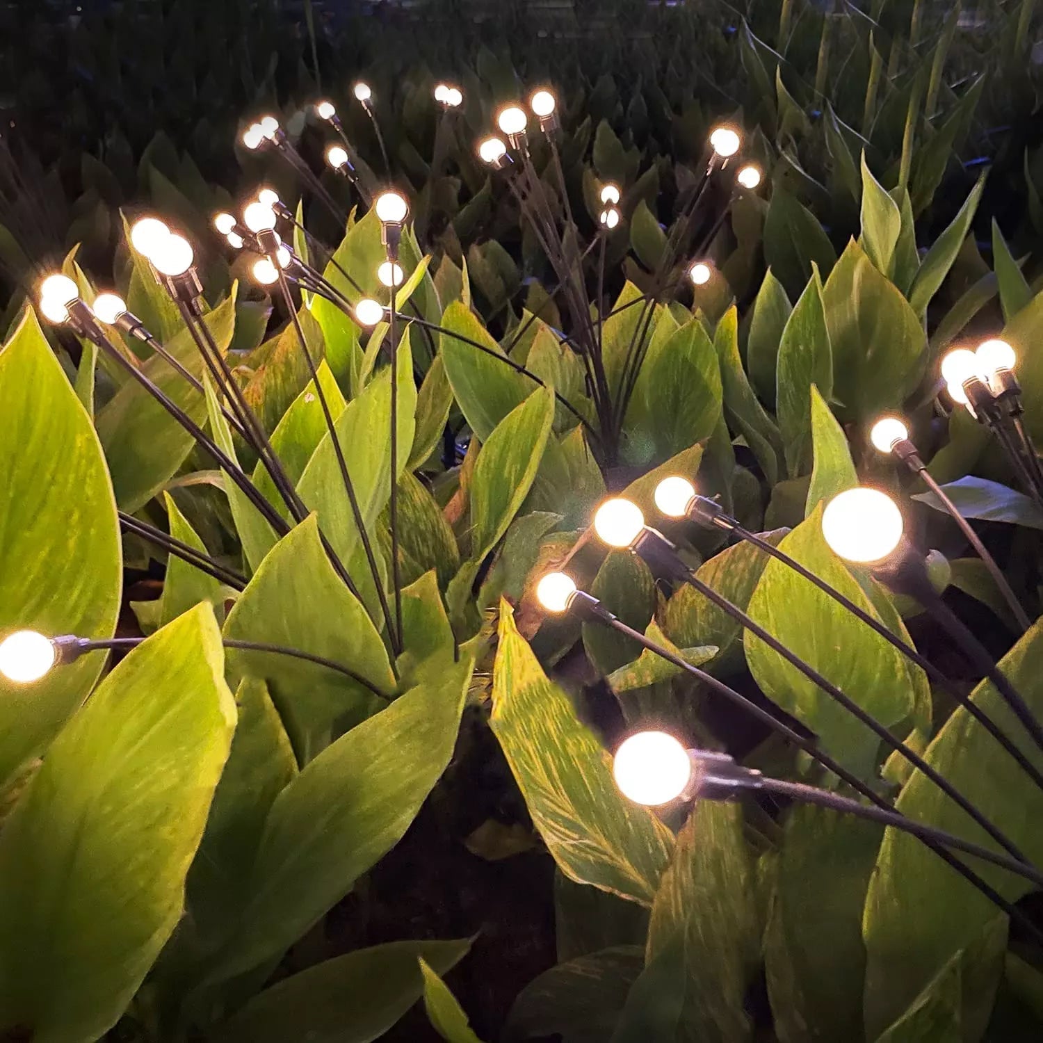 Solar Powered Firefly Garden Lighting | Lighting | LED | warm white | Premium Lighting Solution